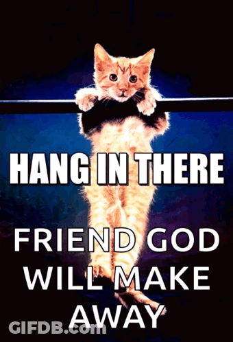 Cat Hanging On Bar Hang In There Friend GIF