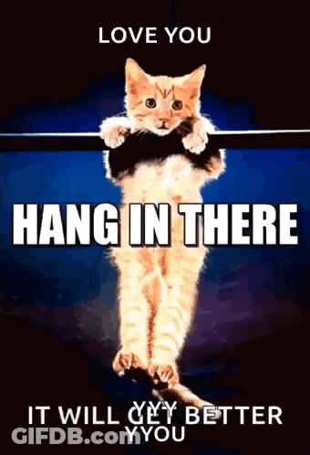 Cat Hanging On Bar Saying Love You Hang In There GIF