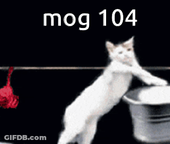 Cat Hanging Shirt On Clothes Line Mog 104 GIF
