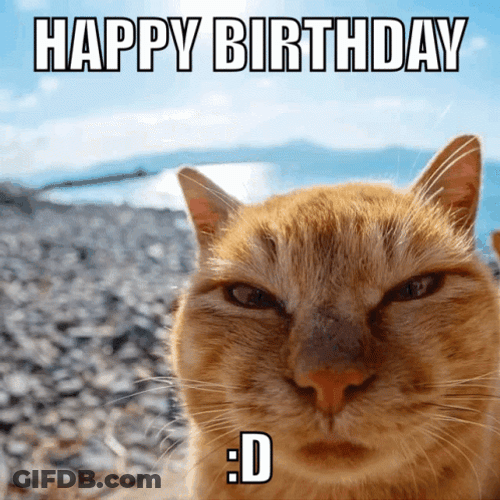 Cat Happy Birthday Confetti Falling GIF