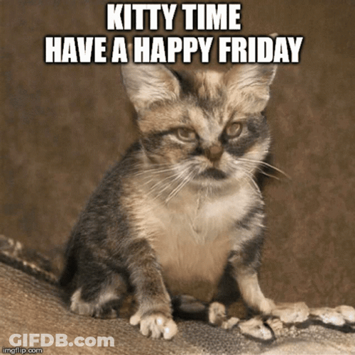Cat Happy Friday Meme GIF