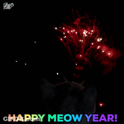 Cat Happy New Years Fireworks GIF