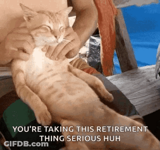 Cat Having Massage Taking Retirement Serious Meme GIF