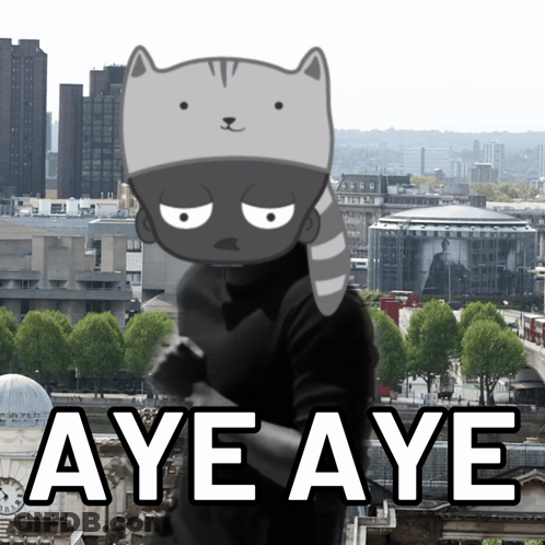 Cat Head Cartoon Saying Aye Aye GIF