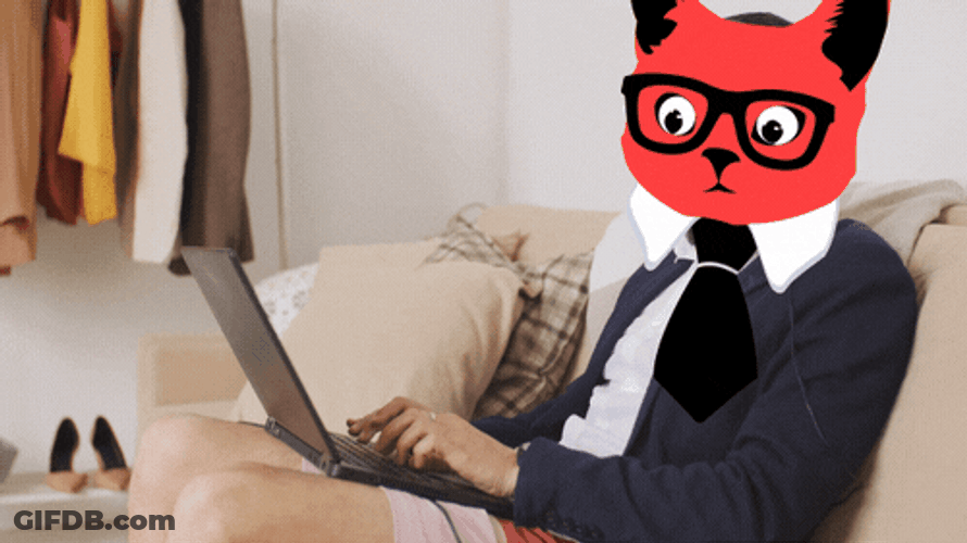 Cat Head Person Working Computer GIF