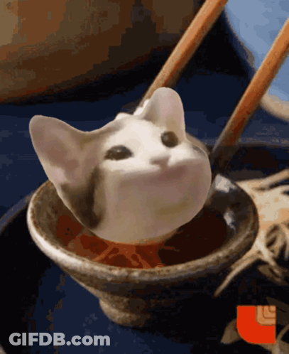 Cat Head Sticking Out Of Bowl Of Food GIF