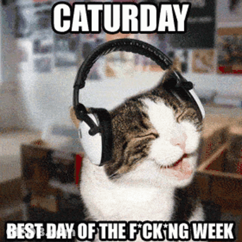 Cat Headphones Saturday Best Day Of Fucking Week GIF