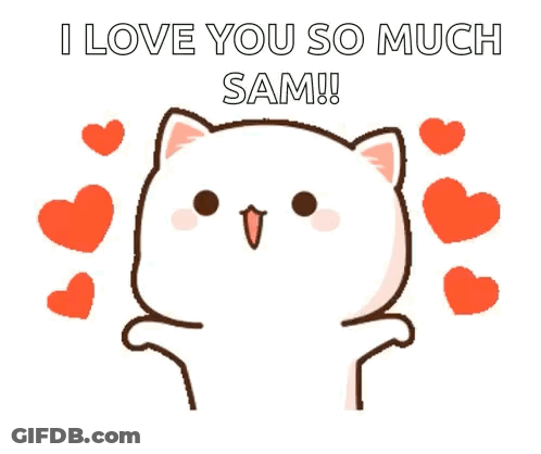 Cat Hearts I Love You So Much Sam! GIF