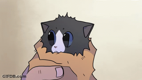 Cat Held By Someone GIF