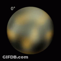 Cat Held Saying Pluto Loves Bingus GIF