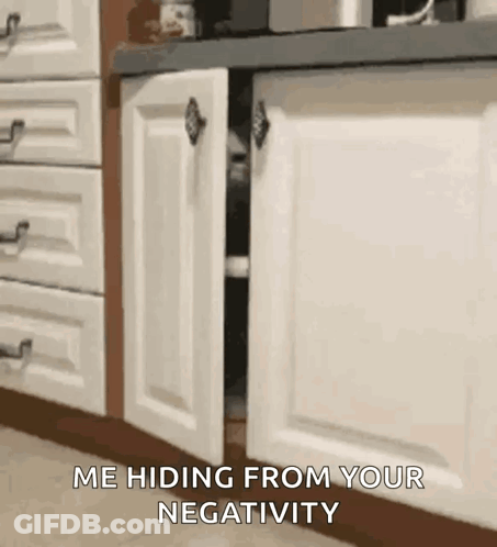 Cat Hiding Behind Cabinet Door GIF