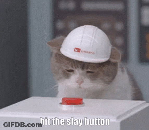 Cat Hit The Slay Button GIF