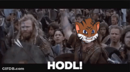 Cat Hodl GIF