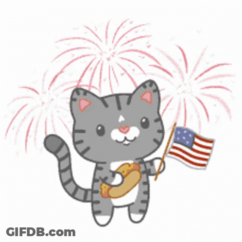 Cat Holding American Flag And Hot Dog GIF