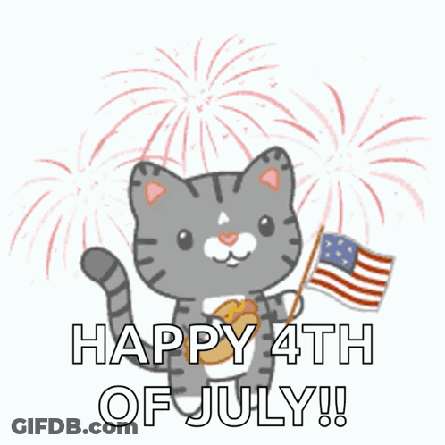 Cat Holding American Flag And Hot Dog Saying Happy 4Th Of July GIF