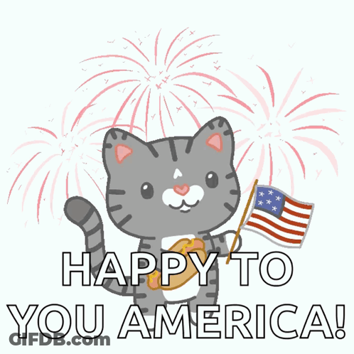 Cat Holding American Flag Happy To You America GIF