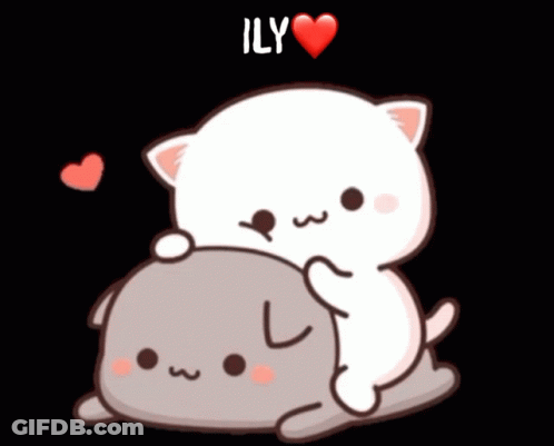 Cat Holding Another Cat Saying Ily GIF