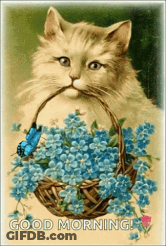 Cat Holding Basket Of Blue Flowers With Butterfly GIF