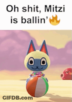 Cat Holding Beach Ball Saying Oh Shit Mitzi Is Ballin GIF