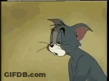Cat Holding Bottle GIF