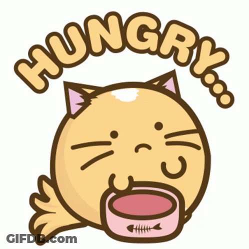 Cat Holding Bowl Saying Hungry GIF