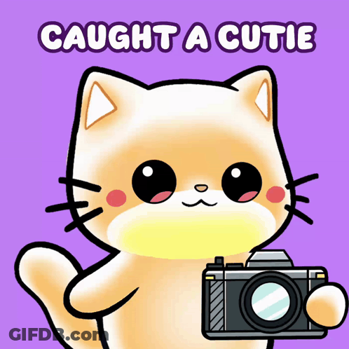 Cat Holding Camera Saying Caught A Cutie GIF