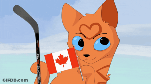 Cat Holding Canadian Flag And Hockey Stick GIF