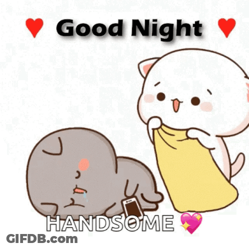 Cat Holding Cell Phone Says Good Night Handsome GIF
