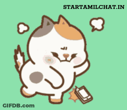 Cat Holding Cell Phone With Website Starttamilchat.in GIF
