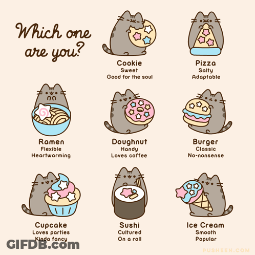 Cat Holding Cookie Doughnut Which One Are You GIF