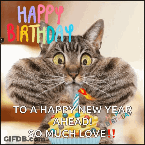 Cat Holding Cupcake Birthday Card GIF