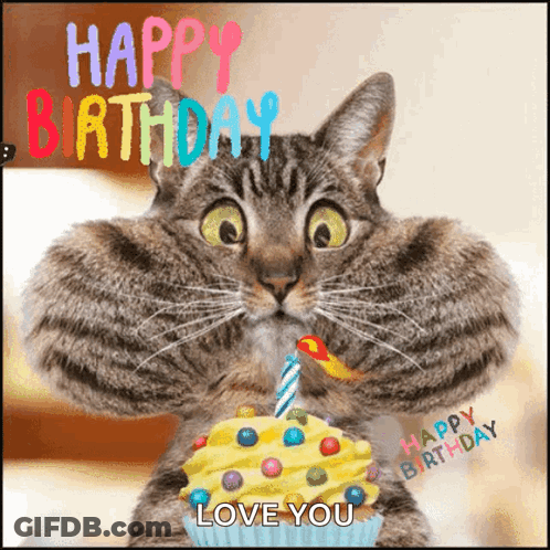 Cat Holding Cupcake Says Happy Birthday Love You GIF