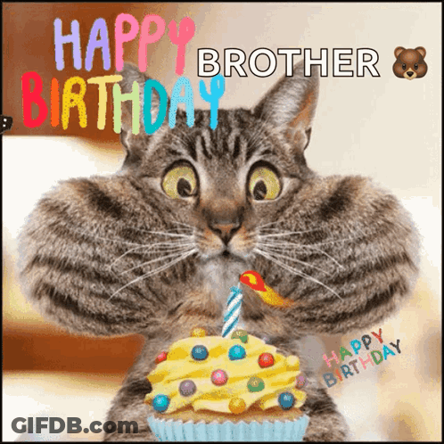 Cat Holding Cupcake With Candle Happy Birthday GIF