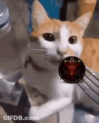 Cat Holding Diablo 3 Logo In Mouth GIF