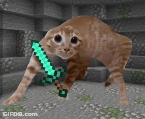 Cat Holding Diamond Sword GIF