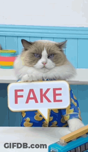 Cat Holding Fake Sign GIF