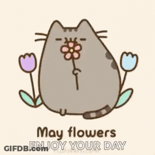 Cat Holding Flower Saying May Flowers Enjoy Your Day GIF
