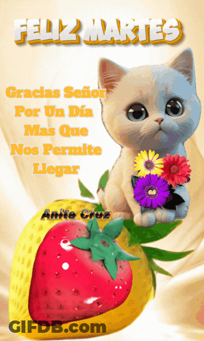 Cat Holding Flowers Next To Strawberry Feliz Martes GIF