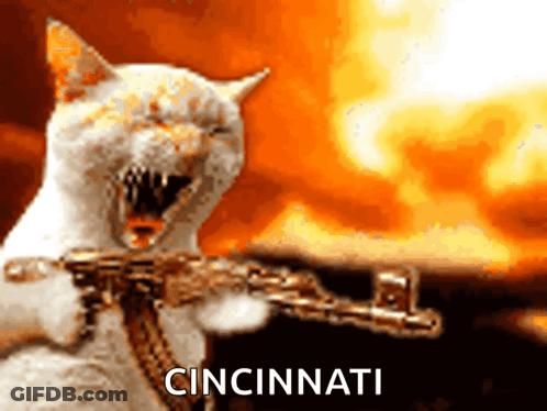 Cat Holding Gun Cincinnati GIF