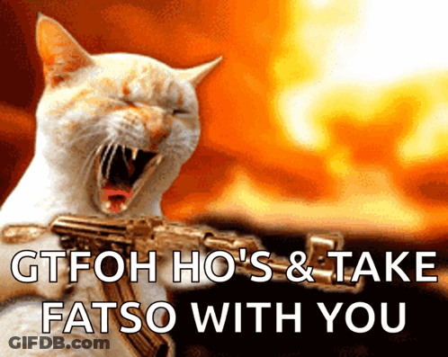 Cat Holding Gun Gtfoh Ho's & Takefatso With You GIF