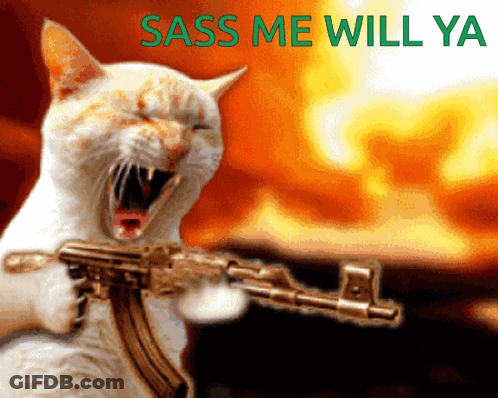 Cat Holding Gun Sass Me Will Ya GIF