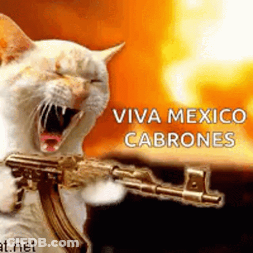 Cat Holding Gun Viva Mexico Cabrones GIF