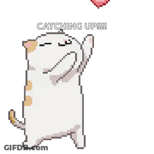Cat Holding Heart Catching Up GIF