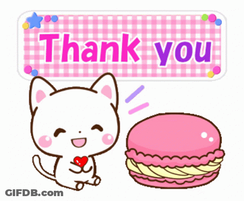 Cat Holding Heart Next To Pink Macaron And Thank You Sign GIF