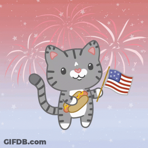 Cat Holding Hot Dog And American Flag With Fireworks GIF