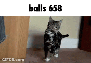Cat Holding Kitten With Balls 658 GIF