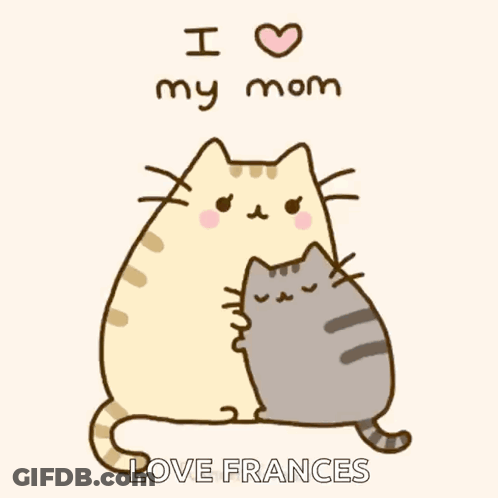 Cat Holding Kitten With Heart Face GIF