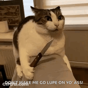Cat Holding Knife On Couch GIF