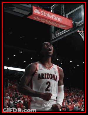 Cat Holding Letter K Saying Go Cats GIF
