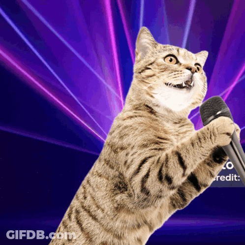Cat Holding Microphone In Front Of Zo Credit Sign GIF
